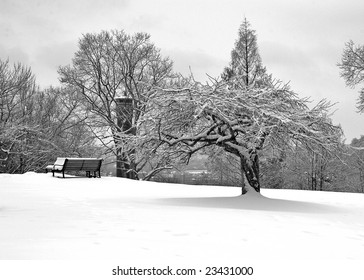 Snow Around The Krohn Conservatory In Cincinnati, OH USA