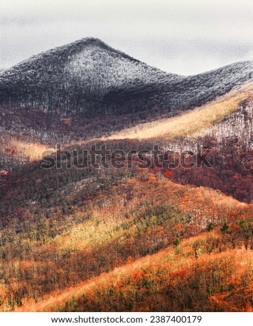 Snow and Autumn Leaves on the Blueridge Parkway in North Carolina 