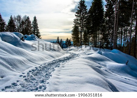 snow between mountains and valleys with beaten path divided by barbed wire in Asiago, Vicenza, Italy