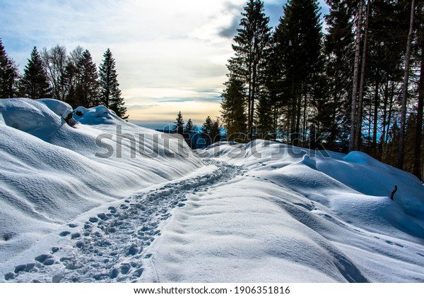 snow between mountains and\
valleys with beaten path divided by barbed wire in Asiago, Vicenza,\
Italy