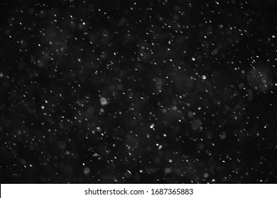 Snow Black Background Abstract Texture, Snowflakes Falling In The Sky Overlay