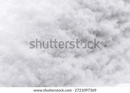 Snow blankets the ground, creating a thick layer of white fluff. Sunlight shines on the snow, making it glisten during a winter day in an outdoor area.
