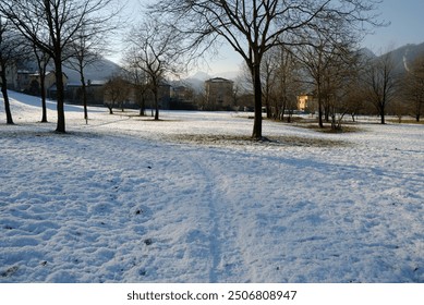 Snow blankets Zogno’s landscape; bare trees and footprints create a tranquil winter scene with distant buildings - Powered by Shutterstock