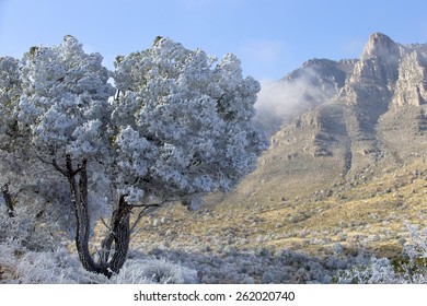 Snow Blizzard In Guadalupe Mountains, Texas, USA