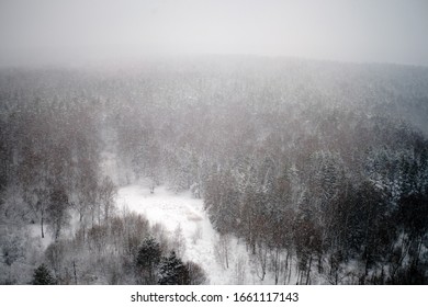 Snow Blizzard Over The Winter Forest, Top View