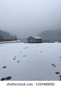 Snow In Buntzen Lake Park, Anmore, BC, Canada