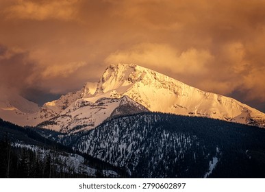Snow capped mountain peak with sparse trees beneath a warm dramatic sky
