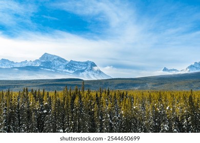 Snow capped mountain range in distance on a cloudy day with blue skies lingering overlooking a green tree lined forest before a frozen river in Banff National Park - Powered by Shutterstock