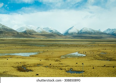 Snow Capped Mountain at the Roof of the World, Tibet (focus on mountain)