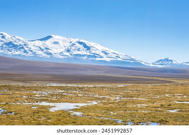 Snow capped mountains above desert wetlands near San Pedro de Atacama, Chile - Powered by Shutterstock