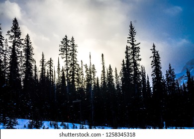 Snow Capped Mountains And Trees Are A Highlite On Any Trail At Chester Lake