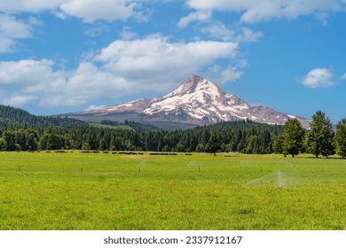 Snow capped Mt. Hood in the Pacific Northwest state of Oregon.