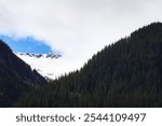 Snow capped ridge peeks through clouds above dense evergreen forest in Endicott Arm. Towering conifers climb steep mountainside, creating dramatic contrast between pristine white summit and woodland