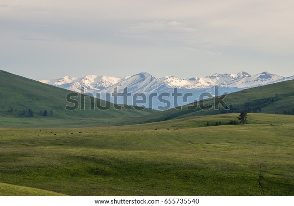 snow capped\
Wallowa Mountains of northeast Oregon in soft afternoon light with\
lush prairie in the\
foreground