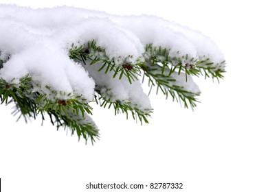 Snow and Christmas  tree  on white