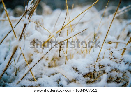 Similar – Image, Stock Photo Winter vs. Spring