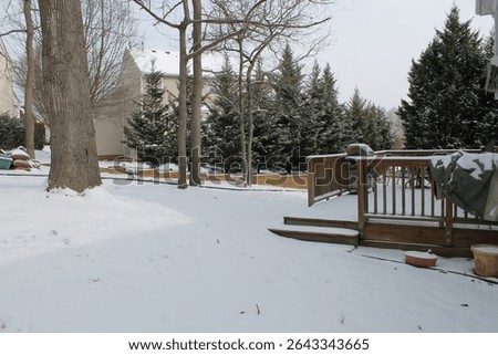 Snow covered backyard area featuring snow covered trees and wooden deck