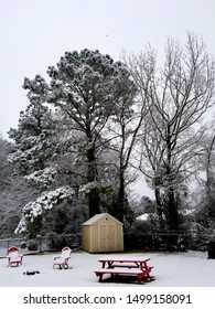 Snow Covered Backyard - Jacksonville, NC - March, 2019