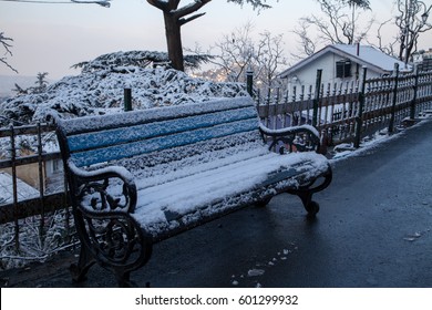 Snow Covered Bench In Shimla, India