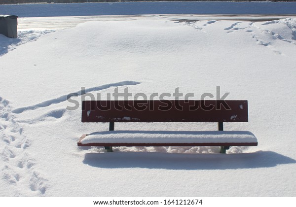 snow covered bench in winter
park
