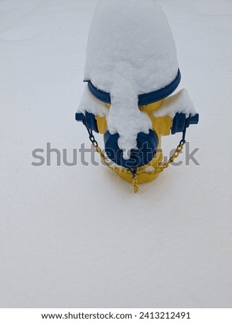 A snow covered blue and yellow fire hydrant.