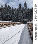 Snow covered bridge at Mount Rainier 