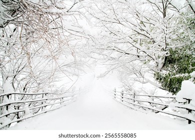 Snow Covered Bridge in a Winter Forest, Shirakawa-go, Japan - Powered by Shutterstock