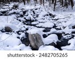 a snow covered brook at Burr Pond State Park in Torrington Connecticut during winter.