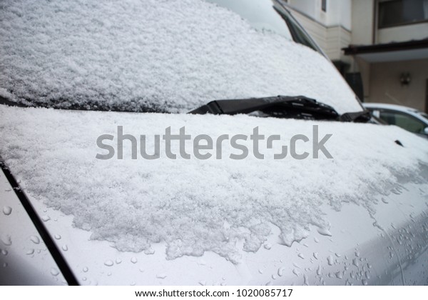 Snow Covered\
car.