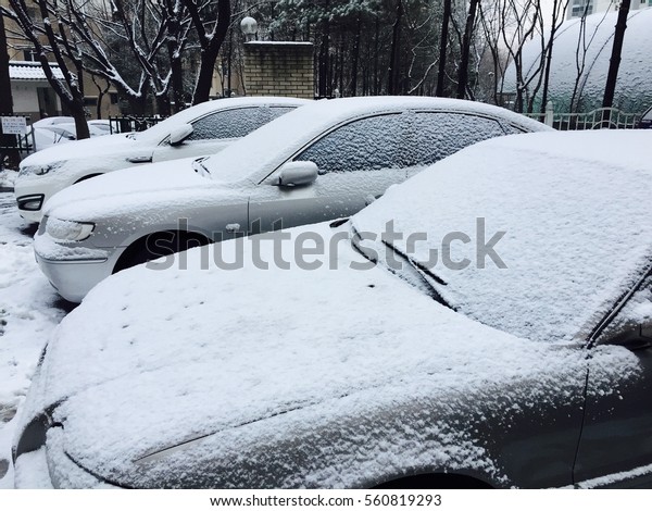 snow covered\
cars