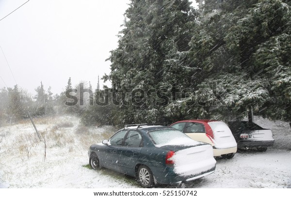 Snow covered cars after\
snowfall