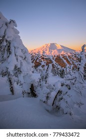 The snow covered Cascade Mountains framed by frozen trees at sunrise in winter - vertical
