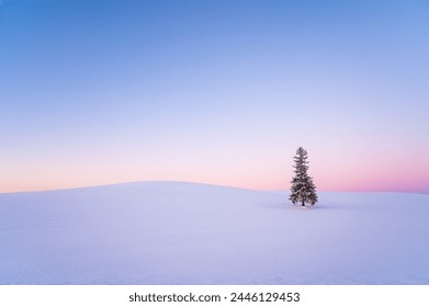 Snow covered Christmas tree in Biei, Hokkaido, Japan - Powered by Shutterstock