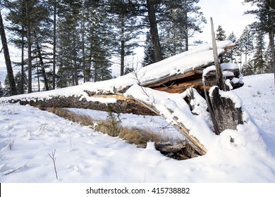 Snow Covered Dead Tree Trunk, Collapsed And Fallen Over. Canadian Winter Scene.