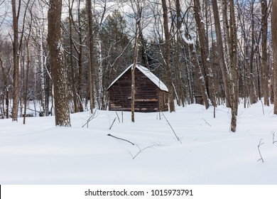 108 Homestead Act Images, Stock Photos & Vectors | Shutterstock