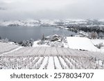 Snow covered dormant grapevines in an organic winery vineyard overlooking Skaha Lake in the Okanagan Valley at Penticton, British Columbia, Canada.