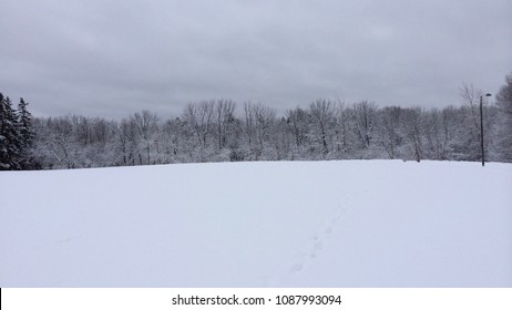 Snow Covered Field With Bare Trees In The Dead Of Winter