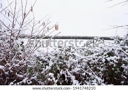 Similar – Foto Bild Winterfreuden Eis Frost