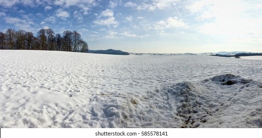 snow covered fields with trees on the left