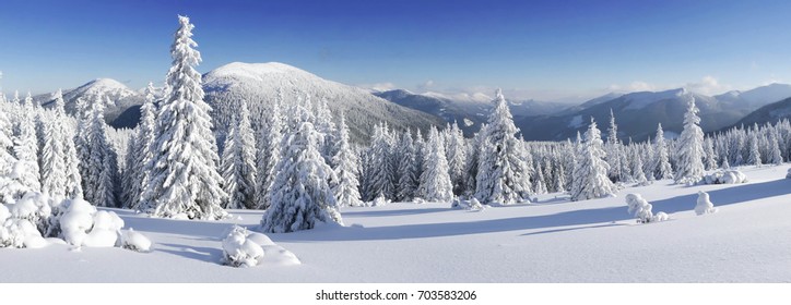 Snow covered fir trees on the background of mountain peaks. Panoramic view of the picturesque snowy winter landscape. Magnificent and silent sunny day.  - Powered by Shutterstock