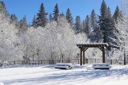Snow Covered Forest Park In The Winter With Wooden Gazebo, Picnic Table Benches, And Trees
