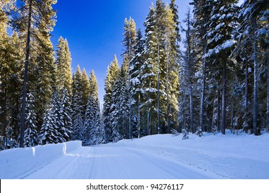 A snow covered forest road in winter near Odell Lake, Central Oregon.