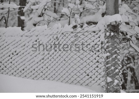 Similar – Image, Stock Photo Snow-covered wire mesh fence