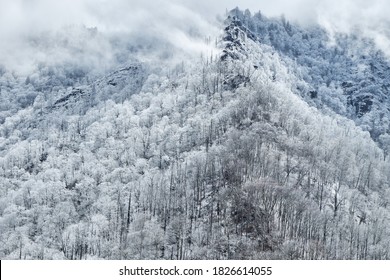 Snow Covered Great Smoky Mountains