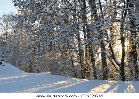 Similar – Image, Stock Photo Tracks in the snow Winter