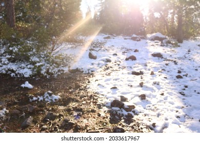 Snow Covered Ground In Tahoe National Forest.