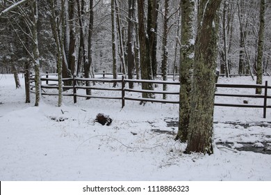 Snow covered ground and trees with split rail fence