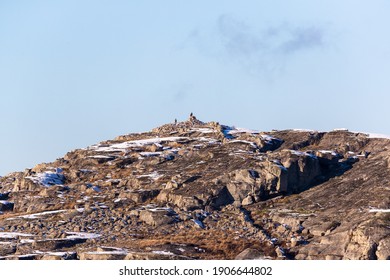 Snow Covered Hill On A Sunny Day With Two Sea Eagles Sitting On Top Of A Rock On Swedens West Coast