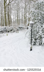 Snow Covered Lamp Post