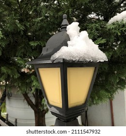 Snow Covered Lamp Post With Snow Covered Tree In The Background